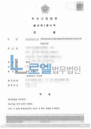 판결문 이미지
